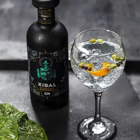 Xibal Gin - Guatemala - 45°- 70cl