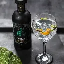 Xibal Gin - Guatemala - 45°- 70cl