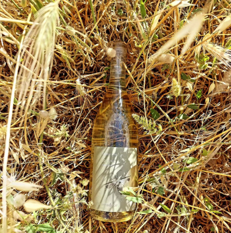 Terradoce - 60 Lune Fiano - Wit - 75cl