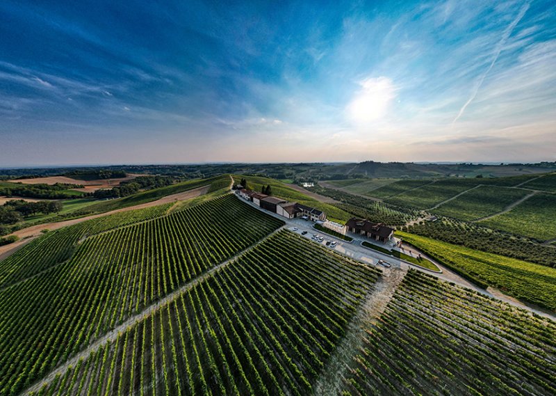 Montalbera - Colli Tortonesi DOC - Timorasso Derthona Calypsos - Wit - 75cl  