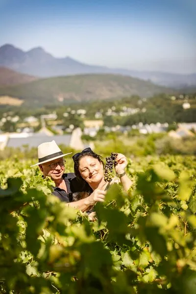 my_liefste_single_page_c_2023_jan_d_hondt_atelje_d_rl5a1188_kopie_ren.webp