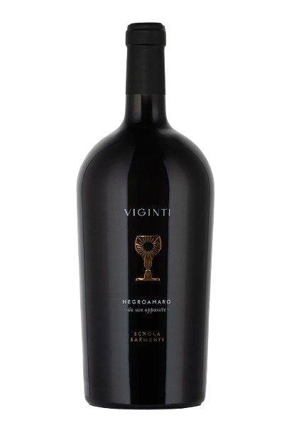 Schola Sarmenti - Viginti - Rood 150cl Magnum