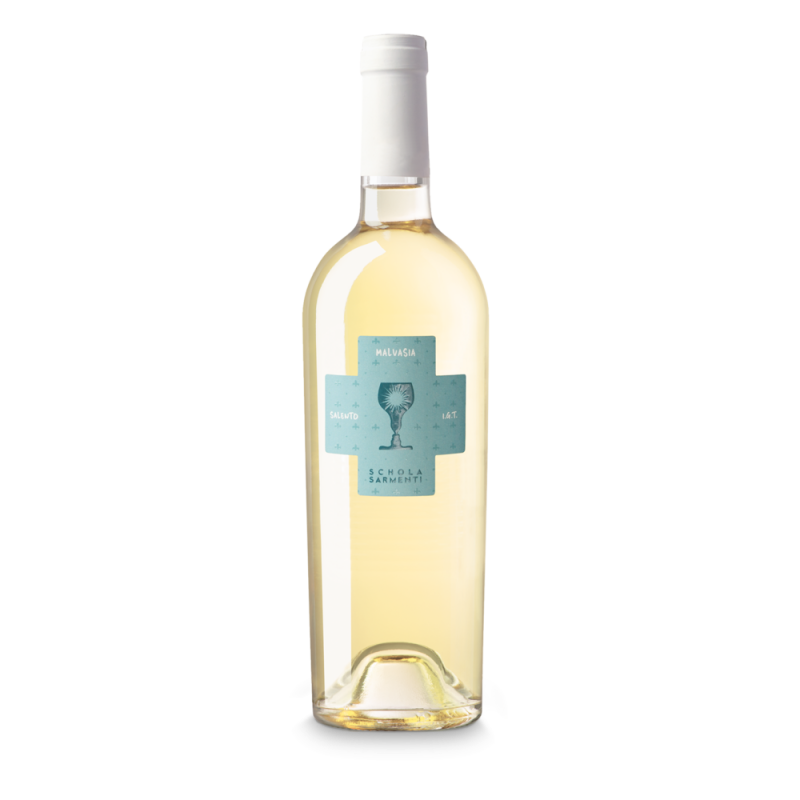 Schola Sarmenti - Malvasia - Wit - 75cl