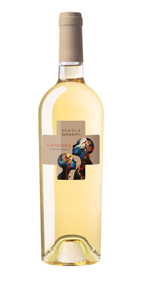 Schola Sarmenti - Candora - Wit - 75cl