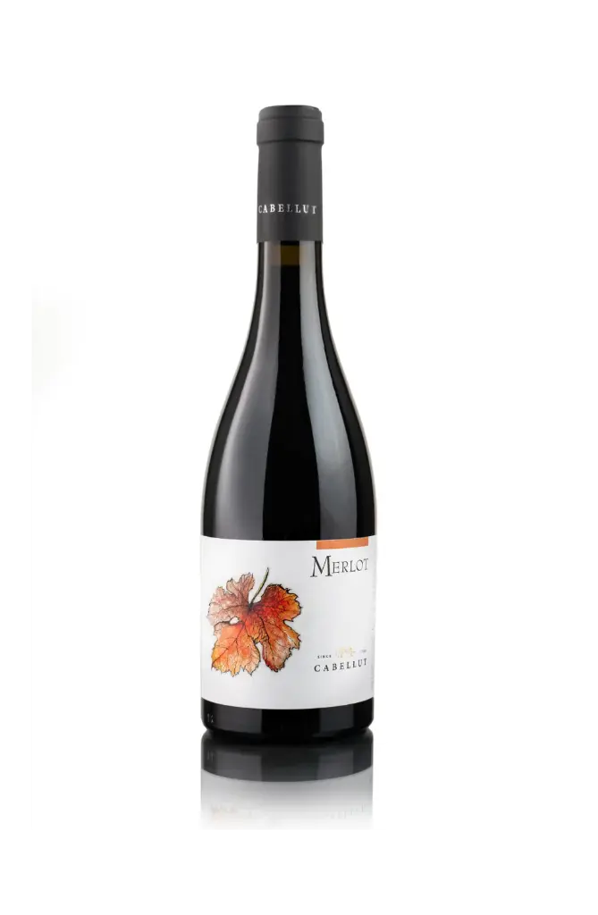 Masia Cabellut - Merlot  - Rood - 75cl
