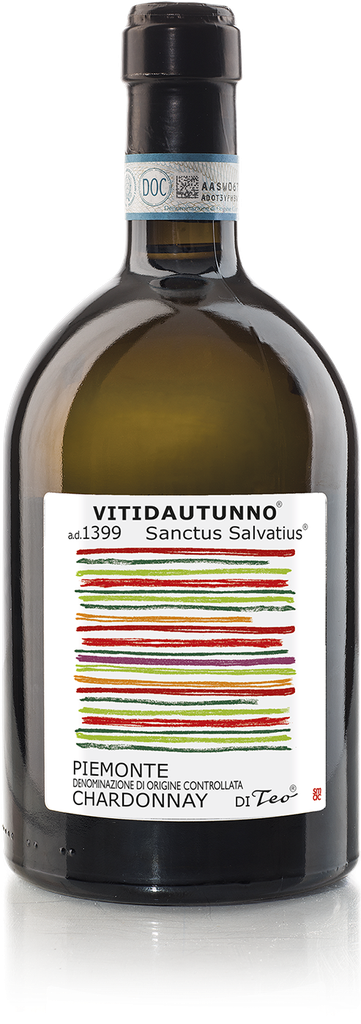Teo Costa - Vitidautunno - Chardonnay - Wit - 75cl