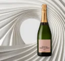Champagne Castelnau- Rosé - Brut - 75cl