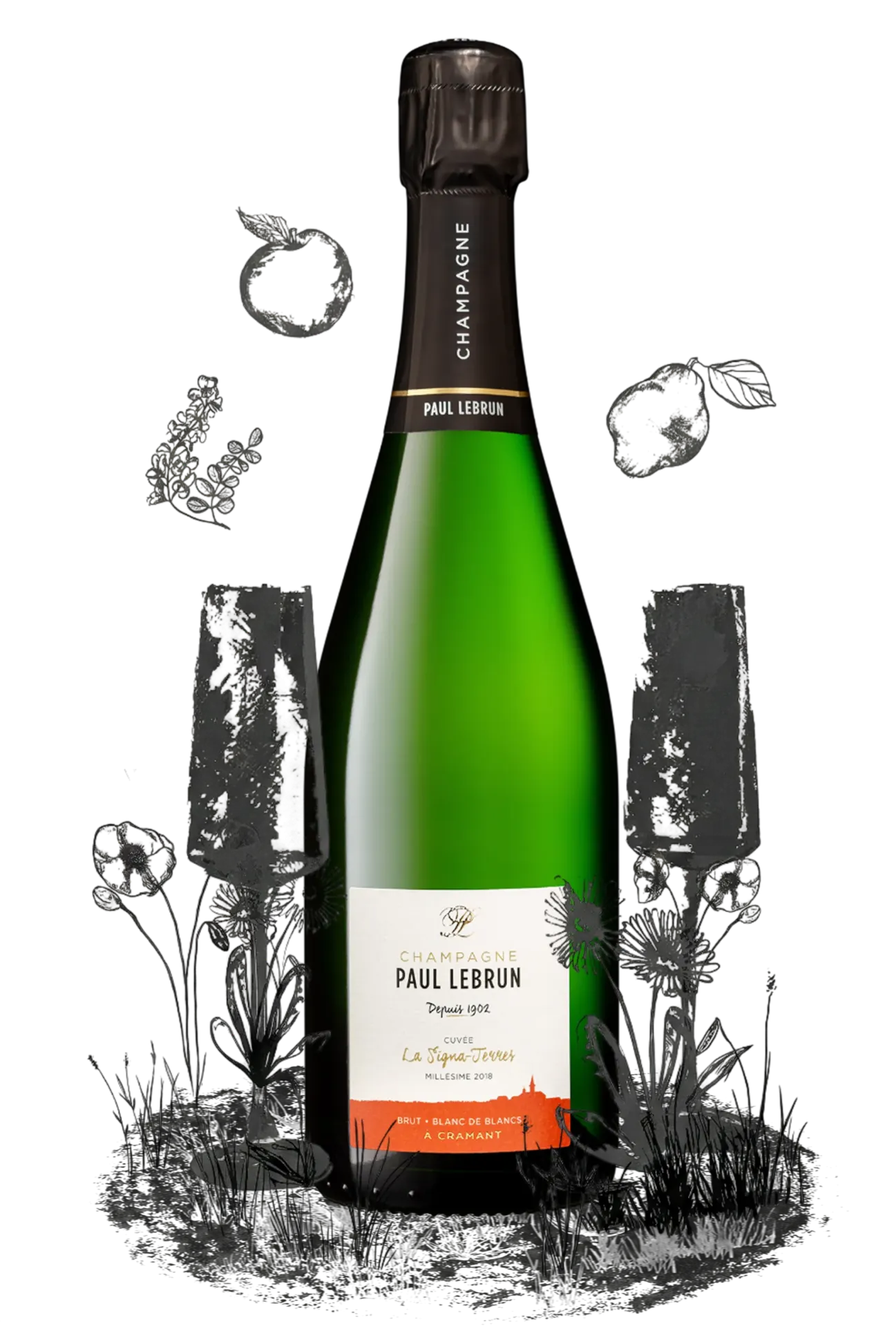 Champagne Paul Lebrun - Signa-Terres 2018 - Blanc de Blancs - Brut - 75cl