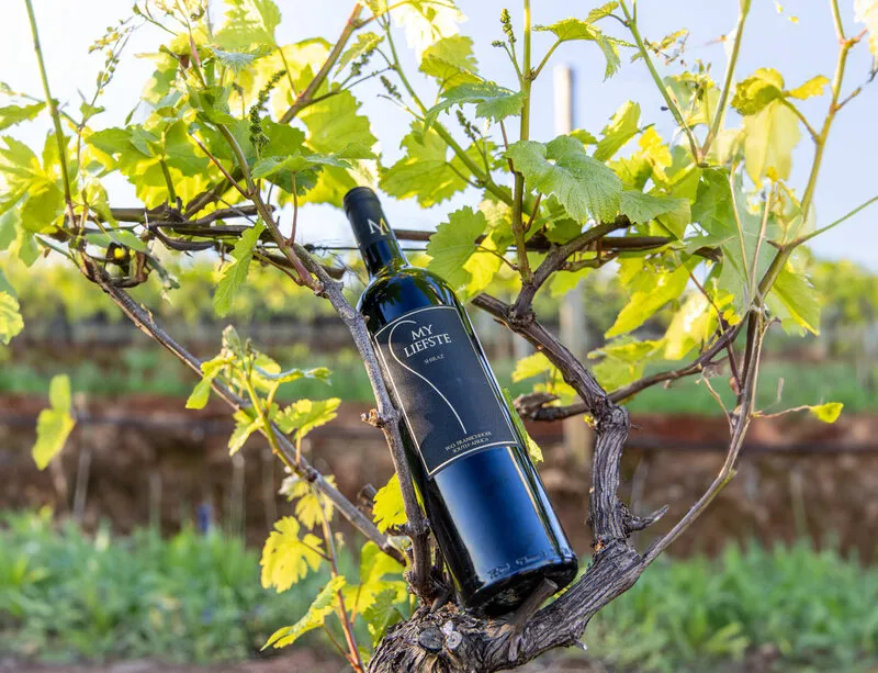 MY Liefste - Shiraz - Rood - 75cl