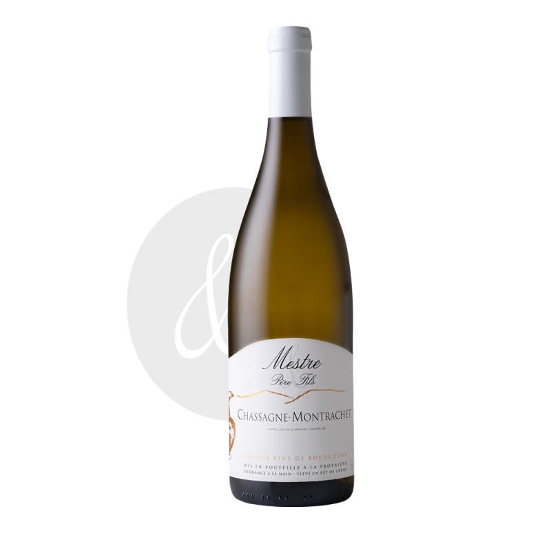 Mestre- Chassagne-Montrachet- Wit - 75cl