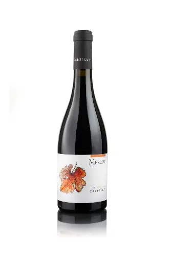 [000307] Masia Cabellut - Merlot  - Rood - 75cl