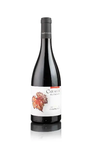 [000308] Masia Cabellut - Cabernet Sauvignon  - Rood - 75cl